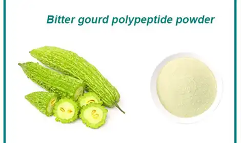 Unveiling the Antioxidant Power of Bitter Melon Peptide